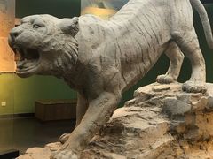 -鄂尔多斯青铜器博物馆