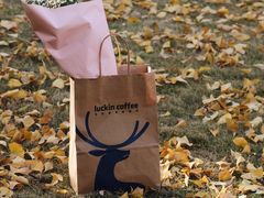 -瑞幸咖啡(艺树家工场店)