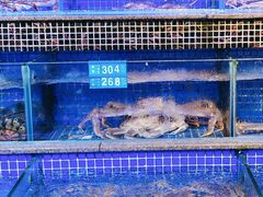 -青蓬蒸汽海鲜·深圳老字号·团建聚会(壹方城店)