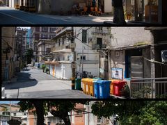 -溪岸路花鸟市场