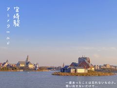 -荷兰花海