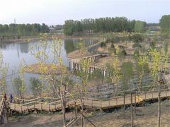 -东郊湿地公园