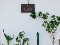 -AHAVA·Fang Baking Studio
