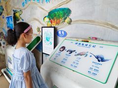 -广东惠东海龟国家级自然保护区