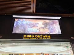 -上海颛桥万达广场