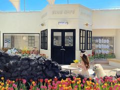 -Blue Concept Cafe&Farm·關於藍
