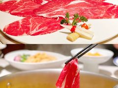 -汤城·料青山
