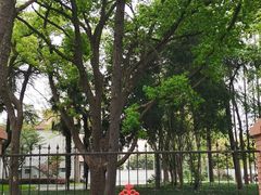 -云间粮仓