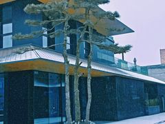 -晓长安·新陕菜(曲江店)