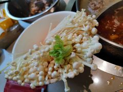 -浩爷羊蝎子火锅(望京店)