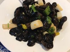 藕尖木耳-东方饺子王(新奥购物中心店)