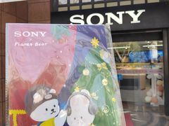 -Sony Store 索尼(上海淮海中路店)