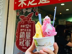 芒果-柠檬车露(卖草地店)
