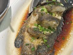 -阿毛饭店·宁波老字号(儿童公园旗舰店)