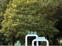 -八卦田遗址公园