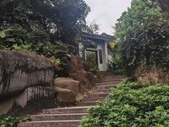 -广州兰圃