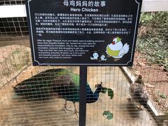 -厦门悦华酒店