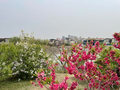 -天津东丽湖风景区