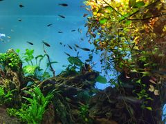 -太平洋海底世界