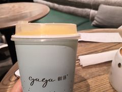 -gaga(深圳南山益田假日广场店)
