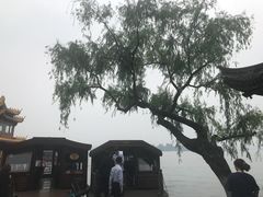 -西湖外事游船(花港观鱼码头)