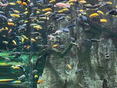 -合肥海洋世界