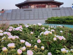 -隋唐洛阳城明堂天堂景区