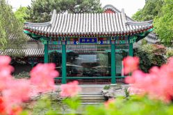 -颐和宾馆宴会厅