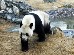 -泰山天颐湖旅游度假区