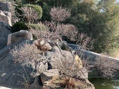 -烟台山景区