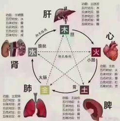 -香薇妮丝·定制减肥·身材管理