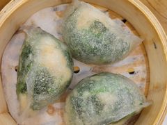 -沙田新强记烧鹅海鲜酒家