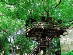 -乌镇景区