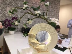 -北京明德医院·医疗美容