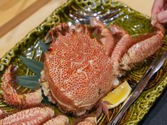 -鲤·鮨KOISUSHI