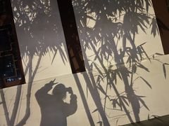-望江楼公园