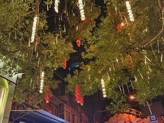 -溪岸路花鸟市场