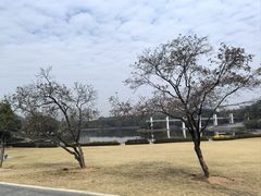 -东莞植物园