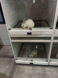 -第五极儿童乐园