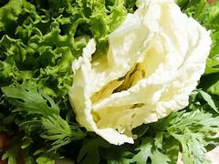 -惠友大虾(太原北街店)