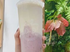 鲜芋牛奶西米露-CoCo都可(沭阳女人街店)