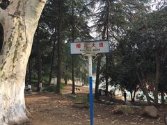 -武汉大学-樱园
