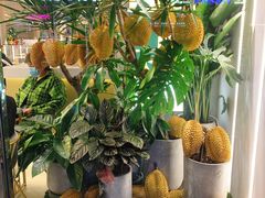 -猫王榴莲世家(三里屯SOHO商场店)