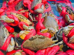 -华盛丰温州大排档(东三环南路店)