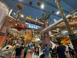 -卡通尼·Safari非洲探索乐园·生日会(金桥国际商业广场店)