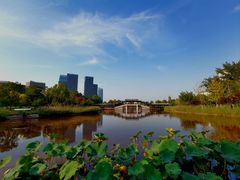 -西海子公园