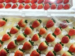 草莓-西郊国际农产品交易中心