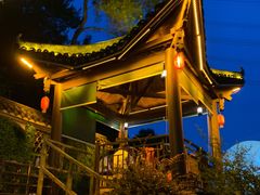 -巴倒烫陆派重庆火锅(南山店)