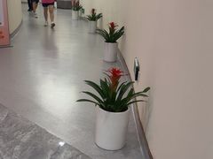 -爱康国宾体检中心(福田分院)