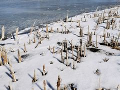 -野鸭湖国家湿地公园